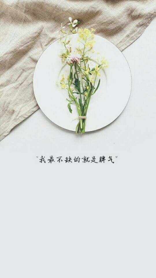 愿你此生赤诚善良