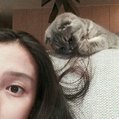 槿七:怀中猫。