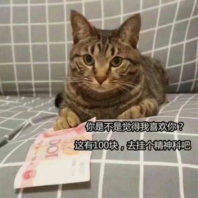 又是表情包又是头像