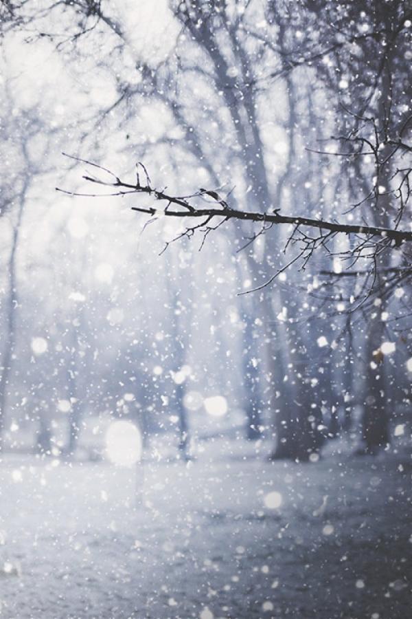 冬天唯美浪漫的雪景图片雪的风情