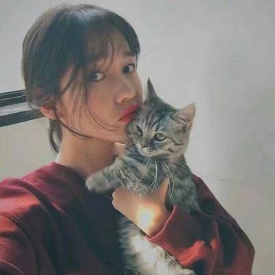 一波儿杂图