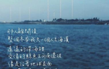 关于爱情的文字图