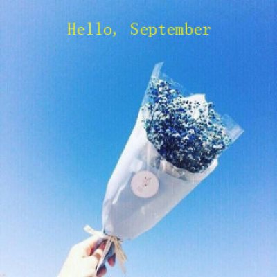09月21日 9 唯美头像握手束花 凡城久久.