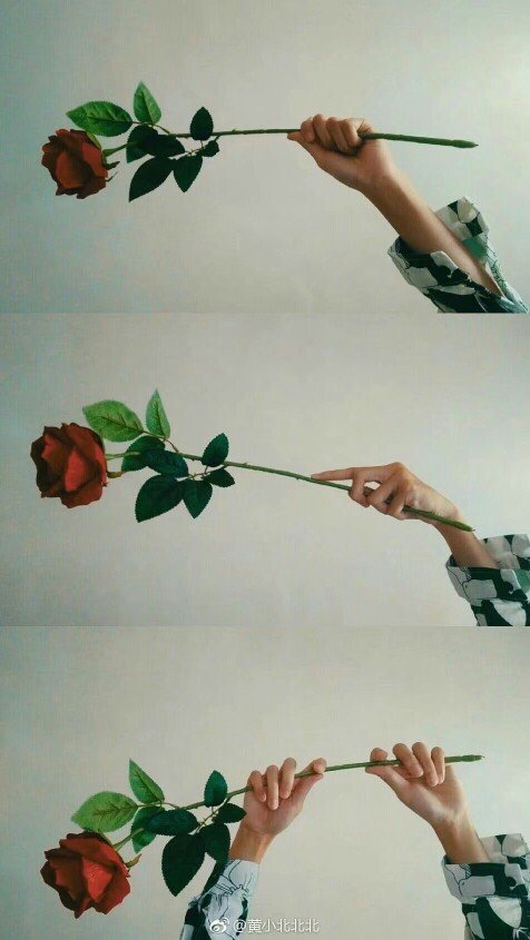 玫瑰伤感壁纸