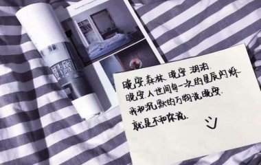 台盟大江论坛代表团参观辽宁博物馆 台青：这里让我大开眼界