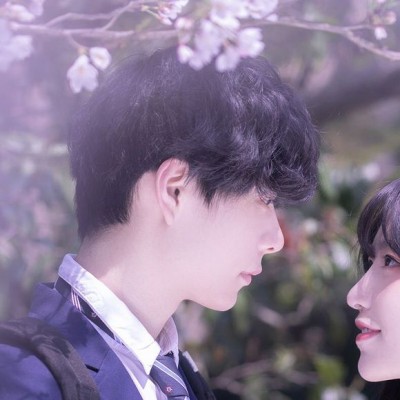 辞桉:情头/樱花日系唯美