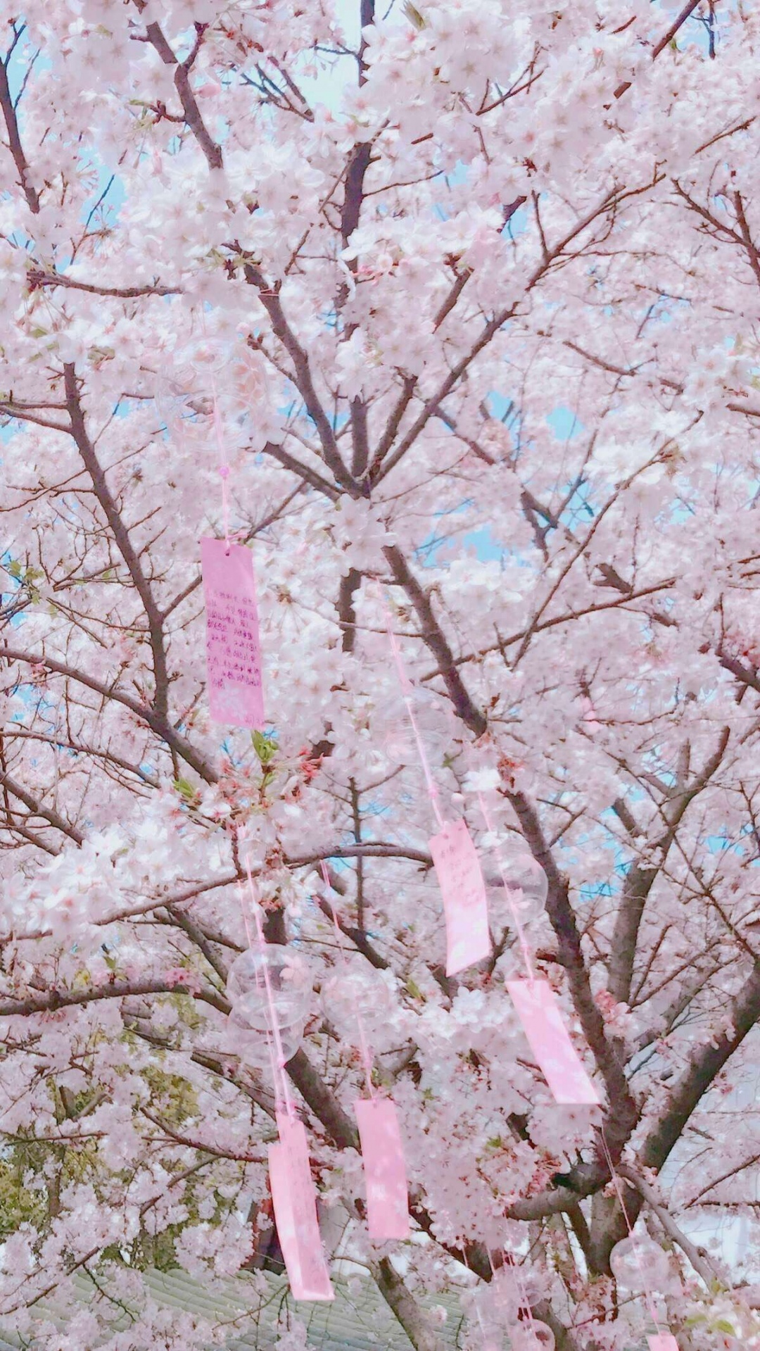 樱花有玩过樱花校园模拟器的过来报数