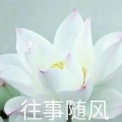 江煜/小莲花超可爱头像.