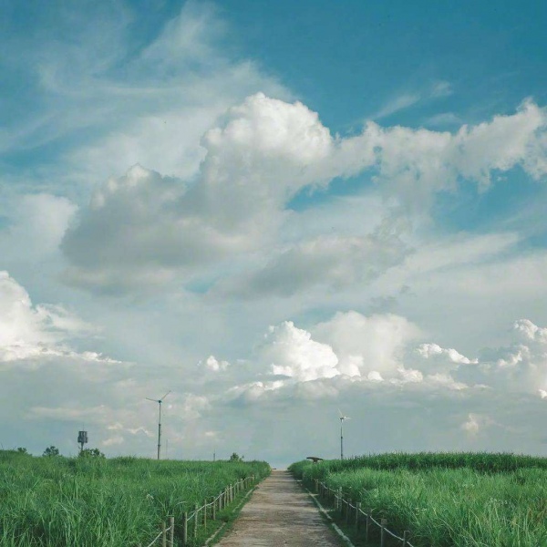 蓝色小清新/天空/风景/头像背景图/好天气