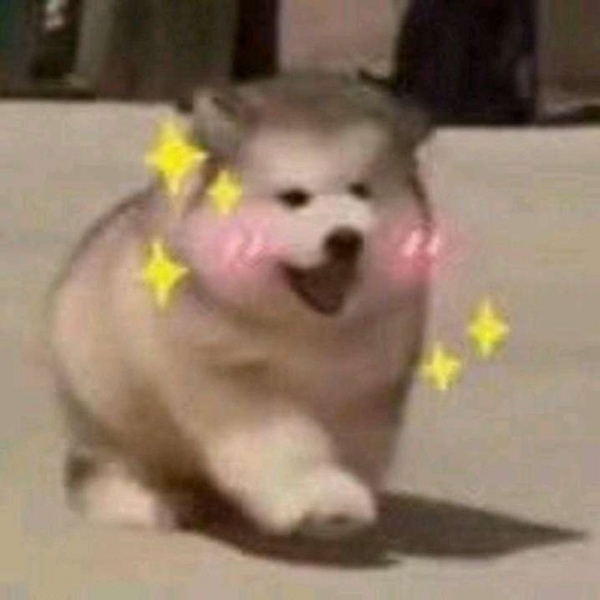可爱哒狗子