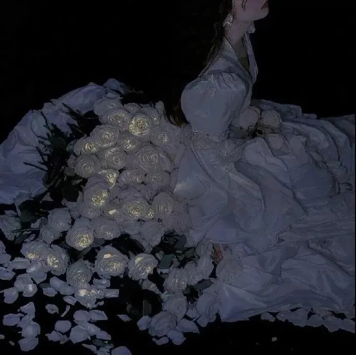 子衿 暗黑系花卉背景图