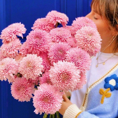 粉色花束头像背景图flowerday