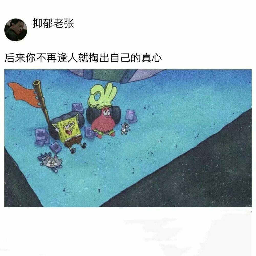 海绵宝宝/治愈系