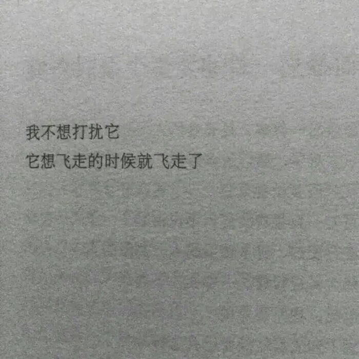 > 书籍文字图片  导航 粉丝:2513分享于06月30日 栏目: 标签:唯美伤感