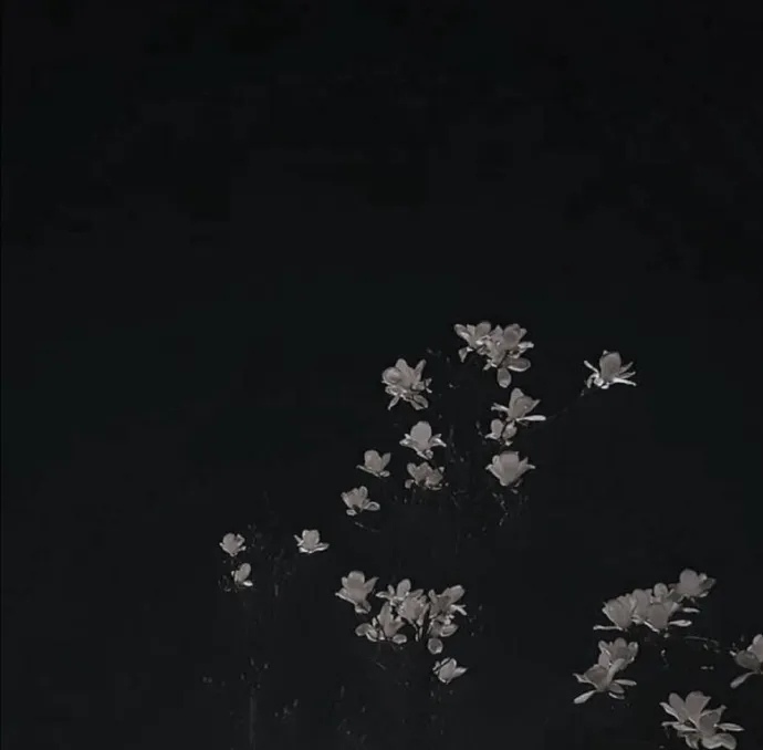 暗黑系