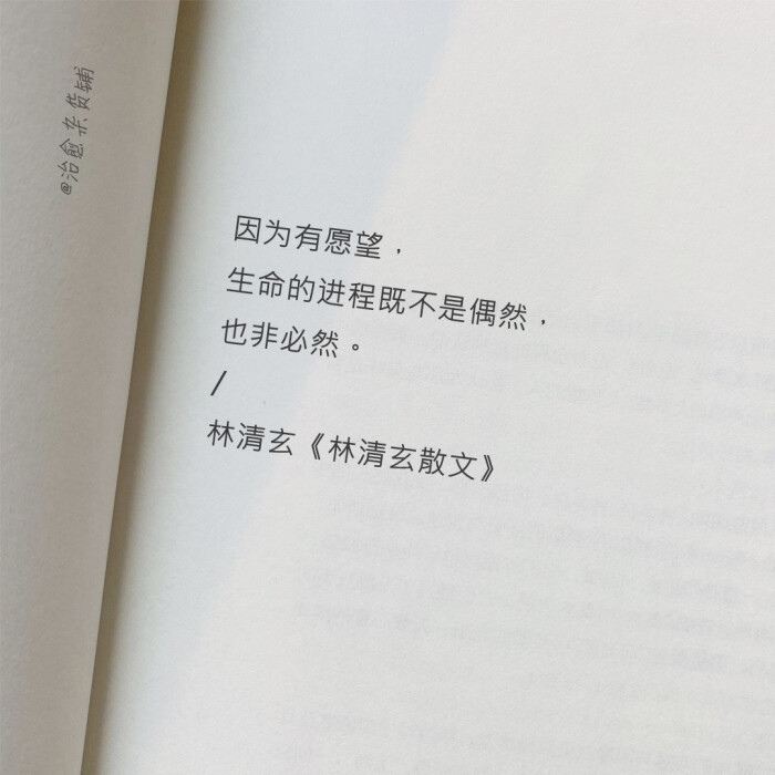 治愈杂货铺每日书摘安利