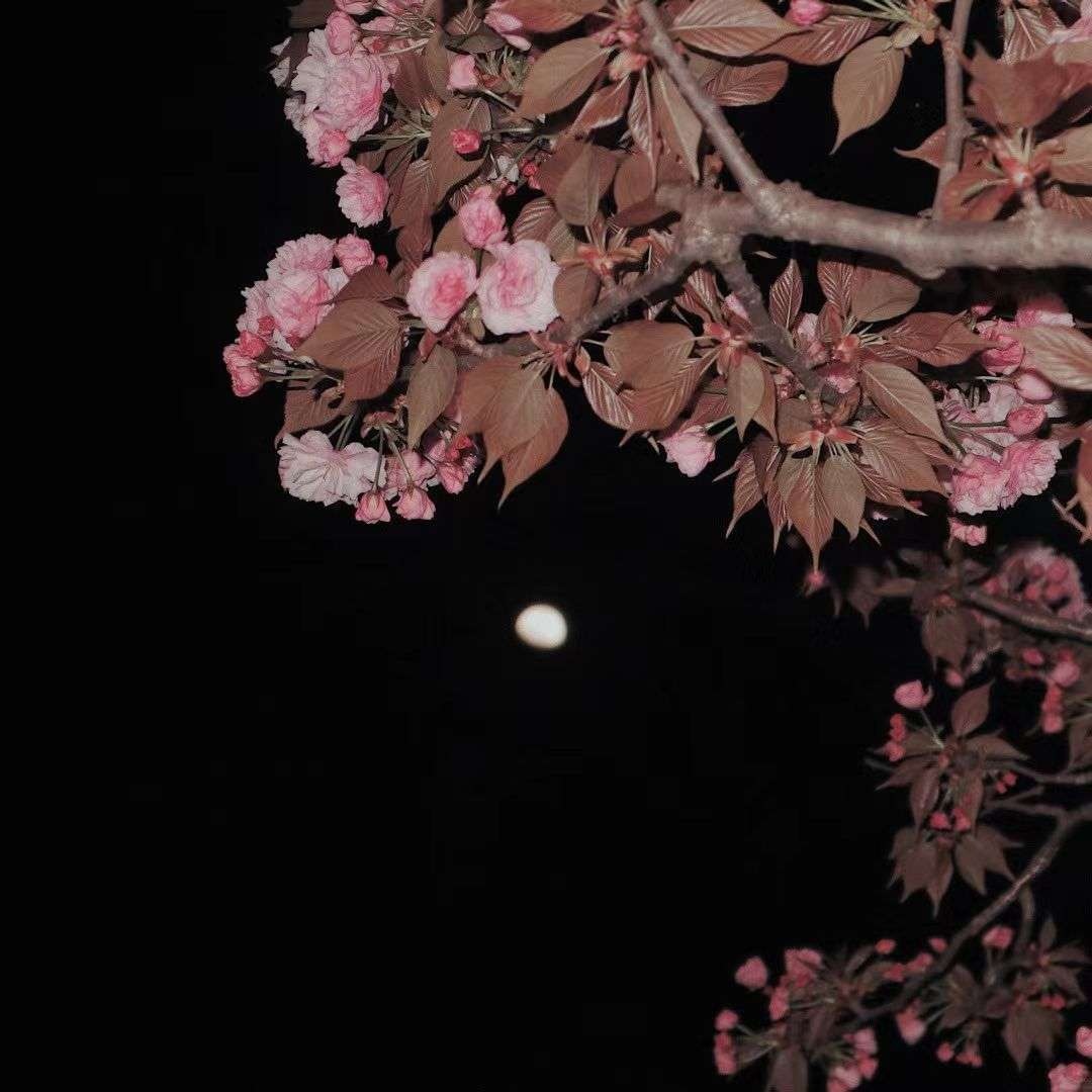 "时间久了不知道是喜欢还是执念.