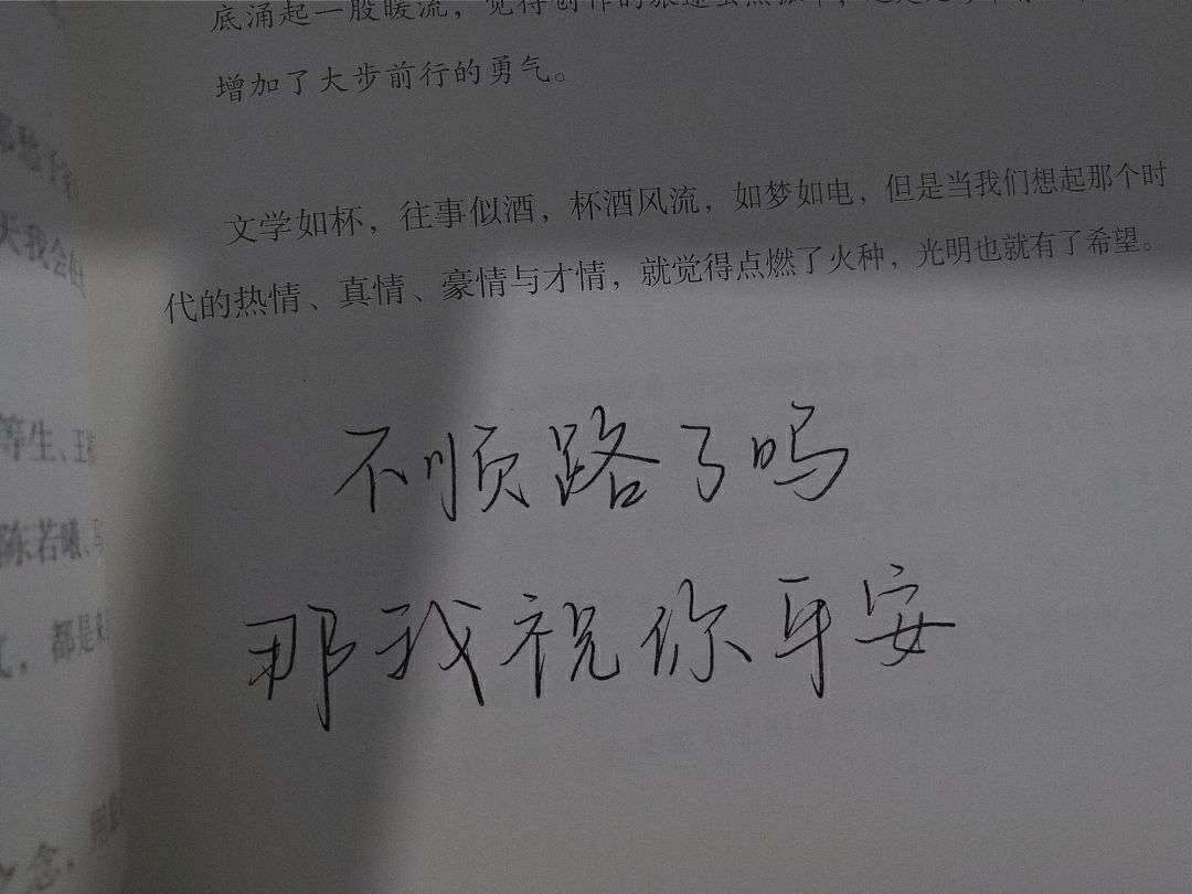 顾南雪/ins优质手写背景图