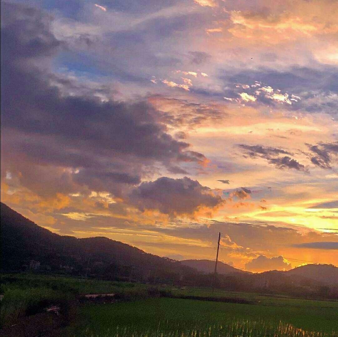 杂./治愈系风景/我想陪你的 又何止一个夏天.