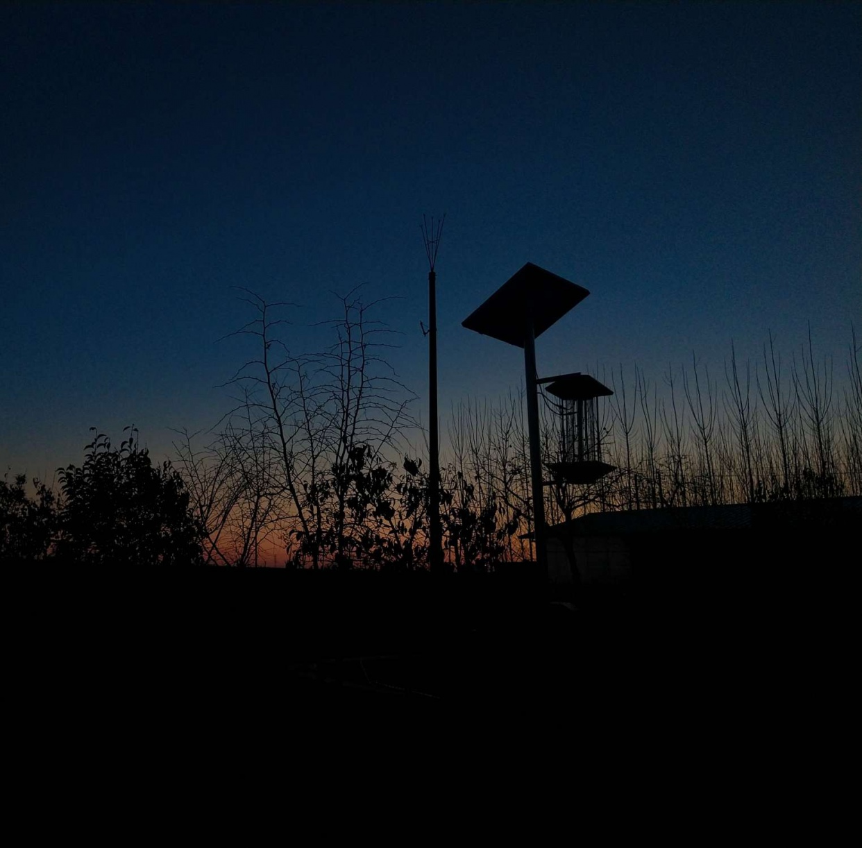 落日傍晚