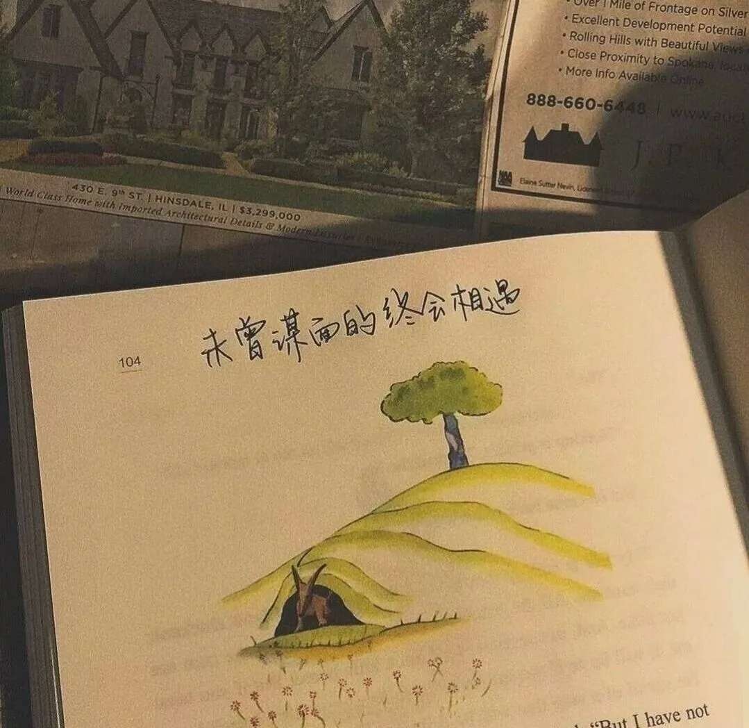 别回头,我不在