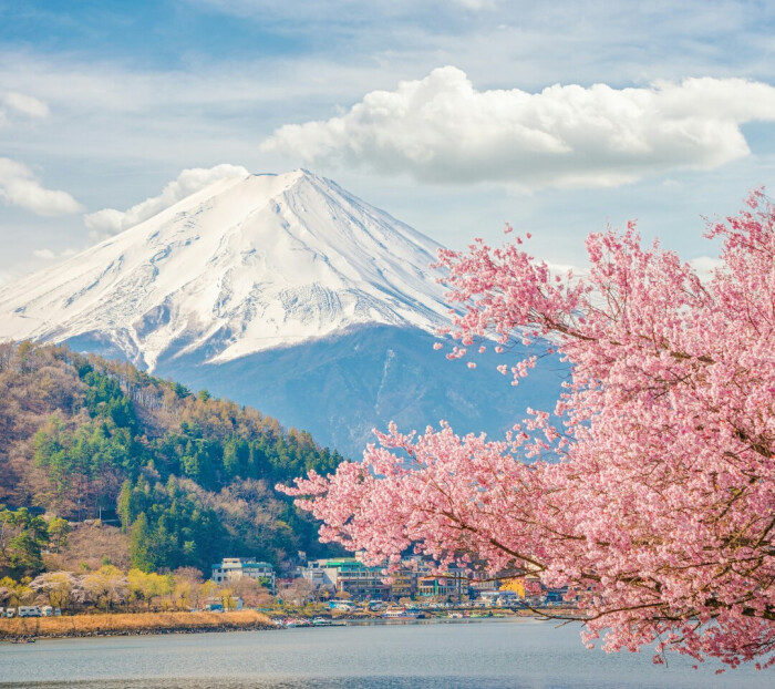 【美图】富士山 樱花_唯美图片_我要个性网