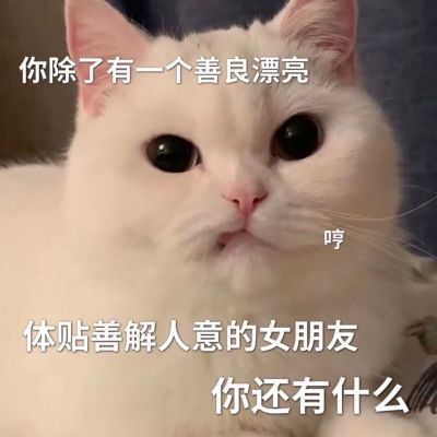 pua男朋友猫猫表情包纯属娱乐