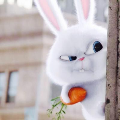 坏兔子小白头像图片