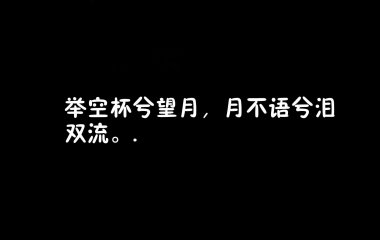 举杯望月