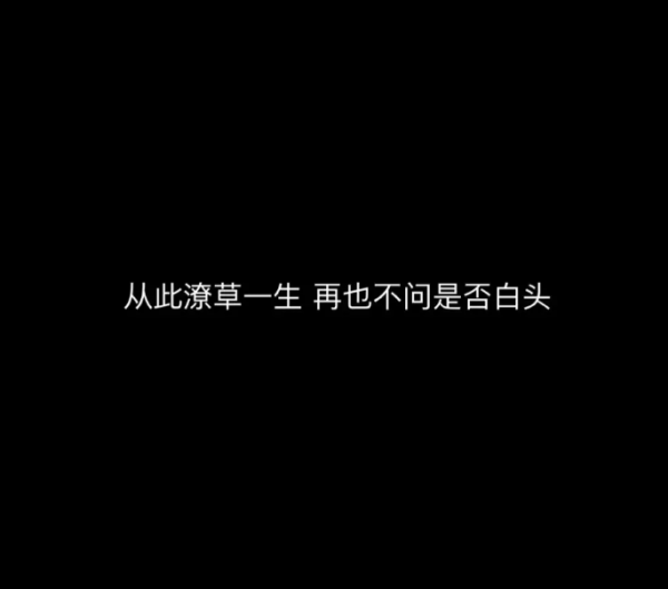 从此花天酒地 闭口不谈感情