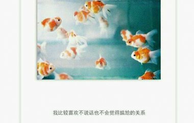 “爱有引力，让我可以遇见你”