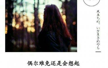 致前任❤