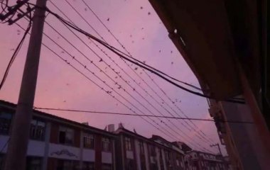 觉得好看的，风格不一