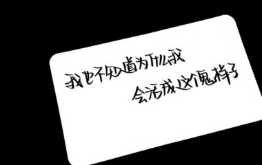 再难过都可以笑的出来.素质抱图