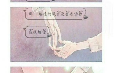 壁纸♡