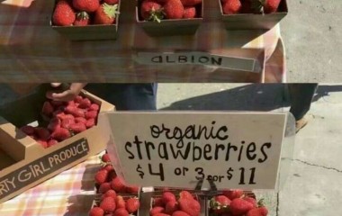 草莓❤❤