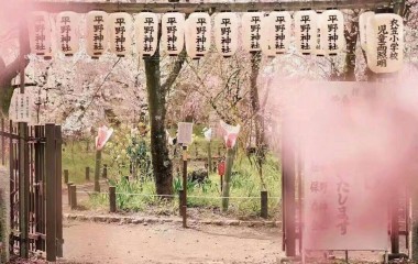 春天