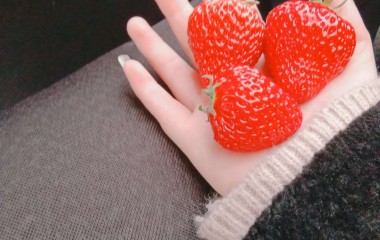 草莓?