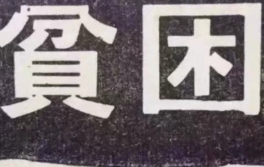 新人报道