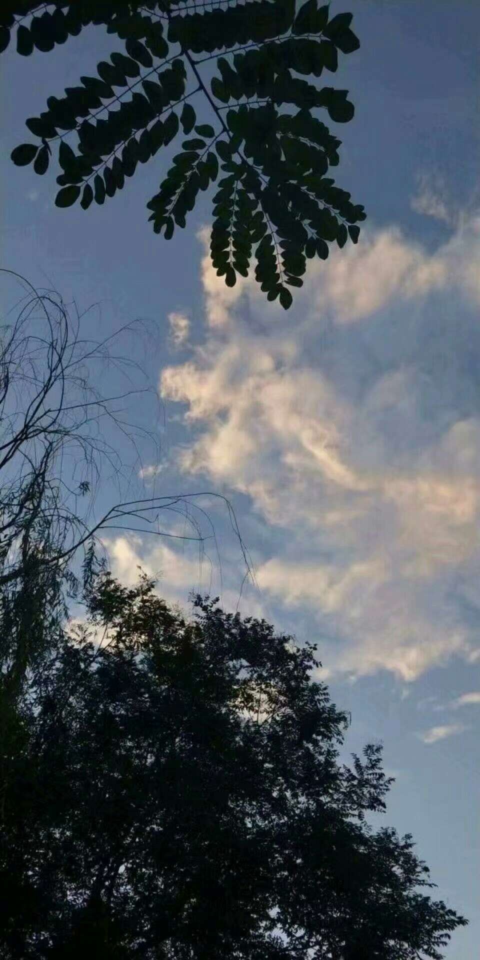 天空