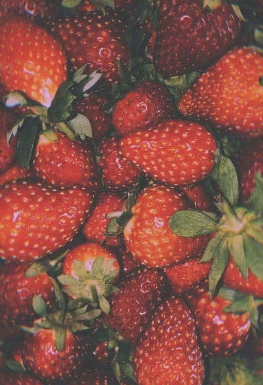 超仙气草莓的背景图图片