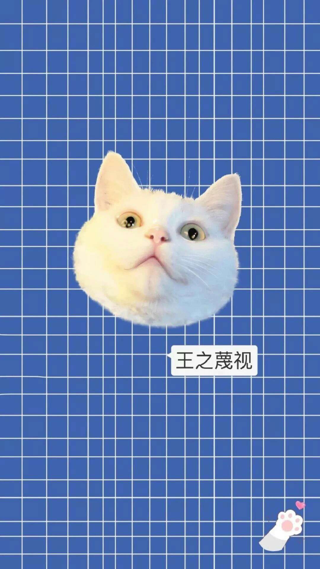 嘿嘿嘿