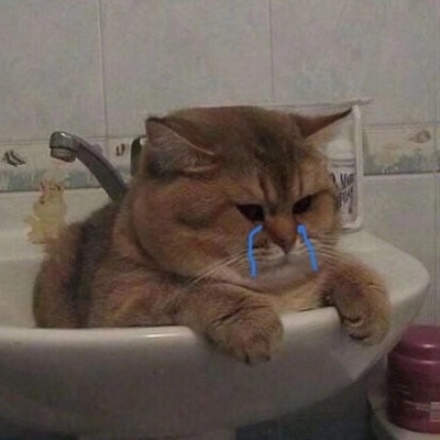 哭泣的猫咪头像图片