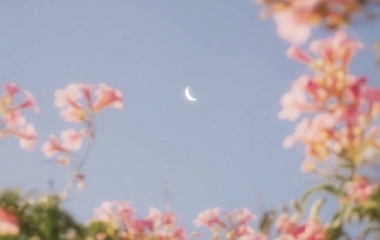 花与月.（2）