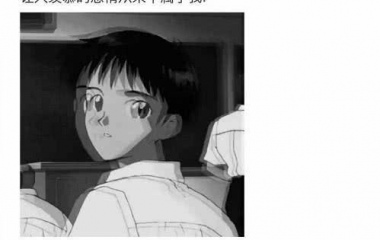 让人羡慕的感情从来不属于我