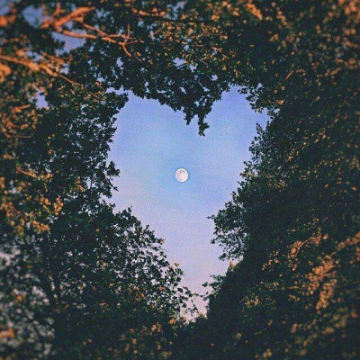 橘子‖星星是你的眼睛，月亮可以看出来我在爱你