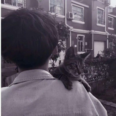 猫蹲在男生肩上的头像图片