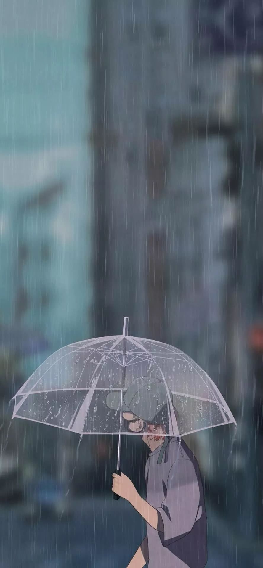 雨