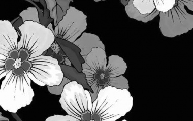 允言/动漫黑白盛开的鲜花