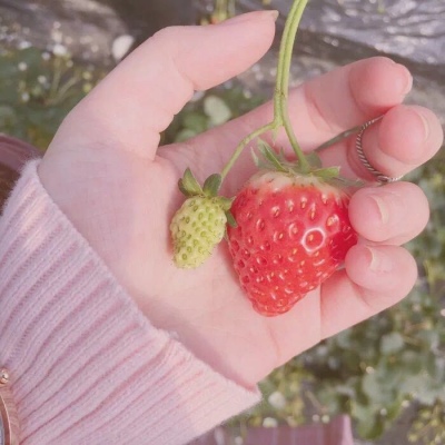 草莓头像可爱真人图片